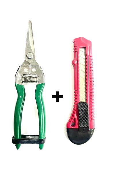 Worldtec 1. Quality Stainless Garden Plant Flower Grape Citrus Pruning Shears 19cm + Utility Knife