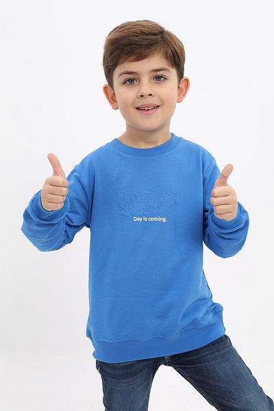 Toontoy Boy's Sweatshirt - Printed