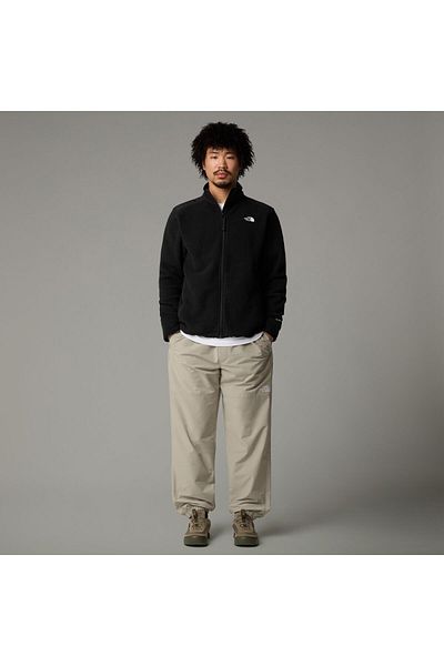 THE NORTH FACE M Alpine Polartec 200 Fz Jacket Ανδρικό παλτό Fleece