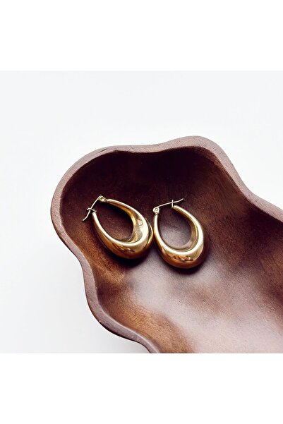 Boise Atelier Lod Steel Earring | Çelik Küpe
