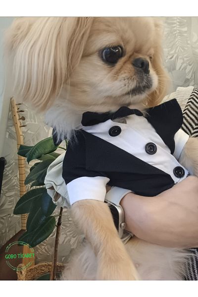 Gobo Goboticaret Cat and Dog Suit Black Bow Tie Tuxedo Outfit Groom Suit