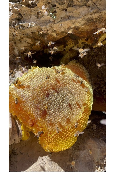 yöresel Kenger balı