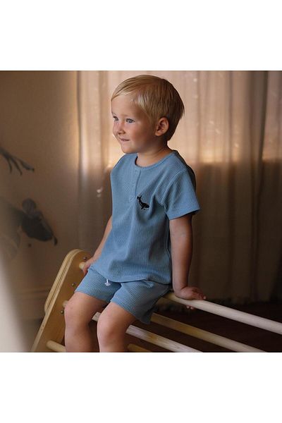 Antebies Whale Embroidery Blue Waffle Shorts Set