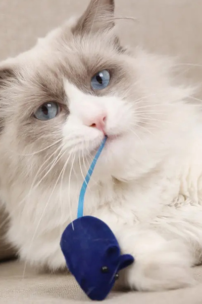 rianka Plush Mouse Cat Toy with Sound, Interactive Intelligence-Enhancing Mou...