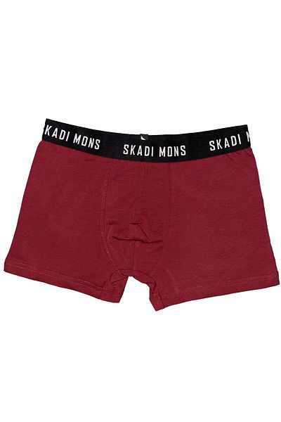 Skadi Mons Basic Ανδρικά Βουργουνδία Εσώρουχα