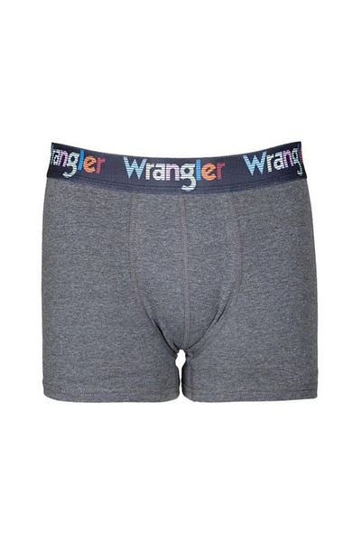 WRANGLER Ανδρικά γκρι εσώρουχα