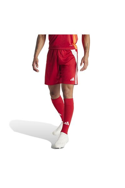 adidas IR9379-E adidas Tıro24 Sho Men's Shorts and Capri Red