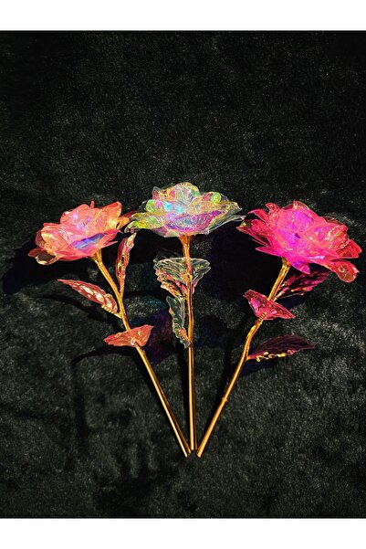 YASİMA 3 Adet Renkli Sonsuzluk Gülü Hediyelik Gül Ev Dekor Sevgiliye Hediye-anneler Günü Hediyesi