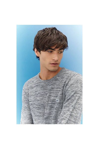 Lee Ανδρικό πουλόβερ Regular Fit Regular Cut Crew Neck 672l21214 Γκρι