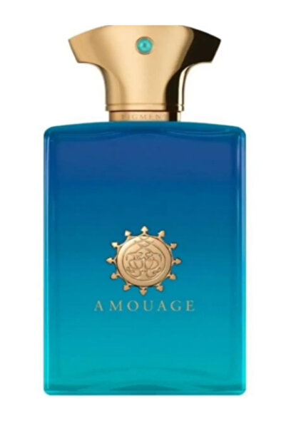 Amouage عطر فيجمنت للرجال - أو دو بارفان - 100 مل