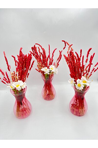 Dayss Yapay Çiçek-3'lü Şeffaf Vazoda Doğal Kuru Çiçek