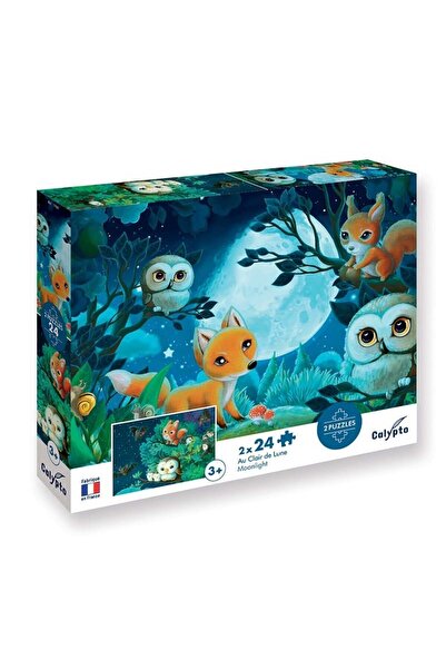 Sentosphere Cardboard puzzle 2 x 24 pieces - In the moonlight