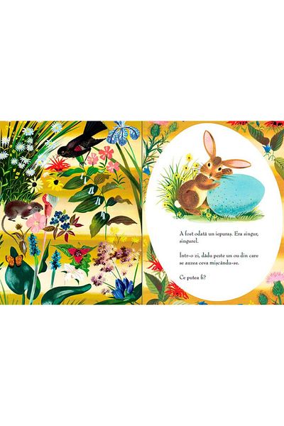 Editura Portocala Albastra Podívejte se, co vylezlo z vejce od MARGARET WISE BROWNOVÉ