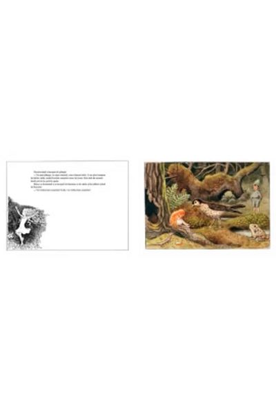 Editura Portocala Albastra Sluneční vejce - Elsa Beskow