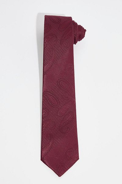 Tudors Patterned Classic Men's Tie with Pocket Handkerchief