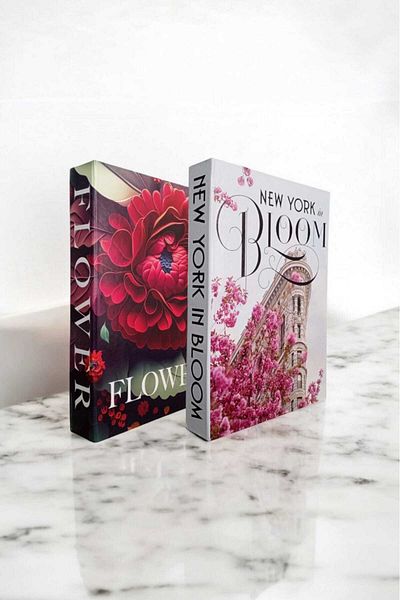BayCazip Decorative Book Look Box Set of 2 Decorative Book Looking Box
