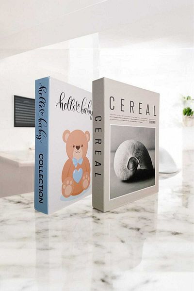 BayCazip Decorative Book Look Box Set of 2 Decorative Book Looking Box