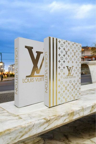 BayCazip Decorative Book Look Box Set of 2 Decorative Book Looking Box
