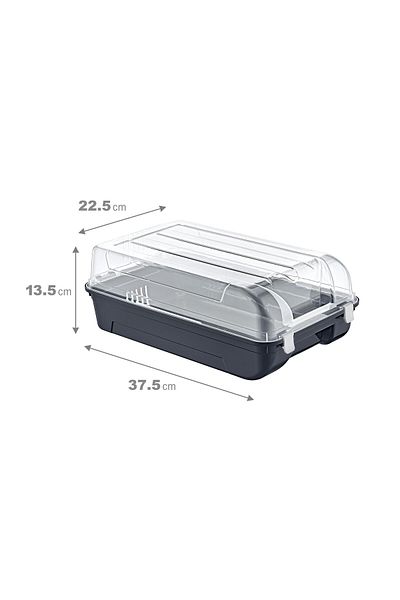 Smartware Men's Shoe Box