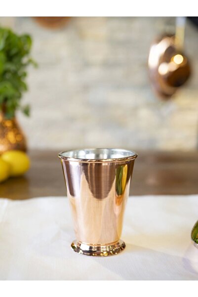Bakır Concept Copper Mug Cup Short Sorbet Model Bright Color Set of 2