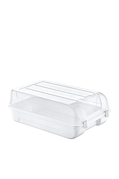 Smartware Men's Shoe Box