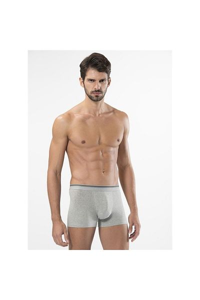 TÜREN 165 Lycra Boxers-γκρι