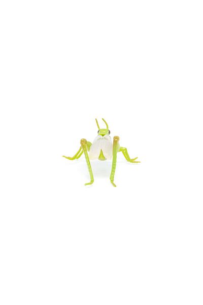 Papo Grasshopper Figurine