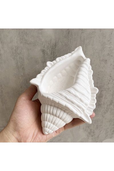Minima Art Studio Decorative Seashell Shaped Jewelry Plate Candle Bowl Multi-Purpose Bowl