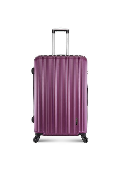 PARAJOHN ABS Hardside Spinner Check In Medium Luggage Trolley 24 Inch Purple