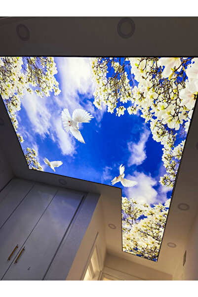 poster marketi Gökyüzü ve Kuş Desenli Gergi Tavan | Ferah ve Aydınlık Mekanla...