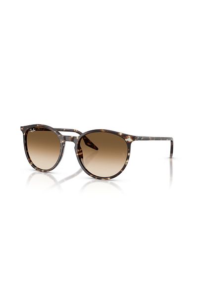 Ray-Ban Rb 2204 143151 51 Ray-Ban Sunglasses