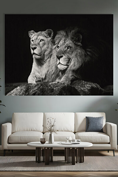 hediye kapında Aslan Siyah Beyaz Kanvas Tablo