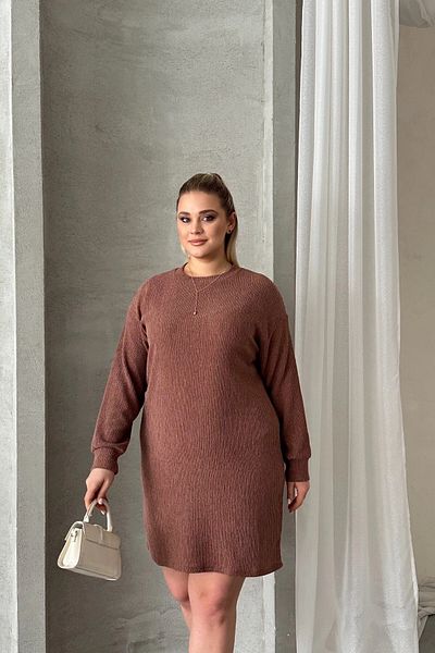 Stil Diva Plus Size Long Sleeve Crew Neck Straight Cut Dress 100-189