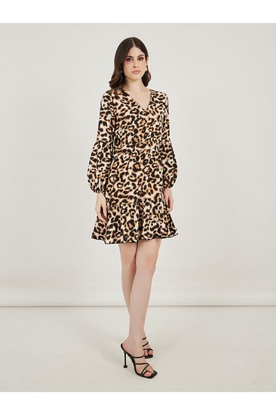 Styli Animal Print V Neck A-Line Mini Dress
