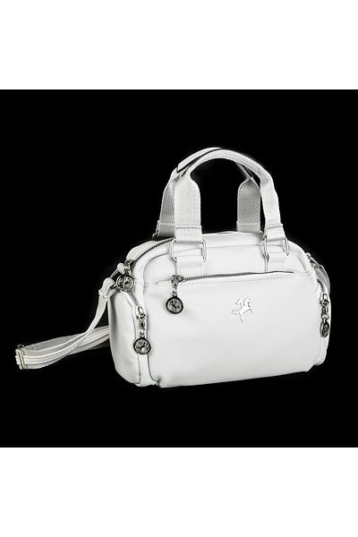 Nas Bag Geantă pentru femei din seria premium cu mai multe compartimente și poștaș (LUM: 26 X DIMENSIUNE: 16)