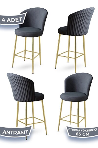 Canisa Alte Serisi 4 Adet Babyface Kumaş 65 cm Gold Kaplama Ayaklı Antrasit B...