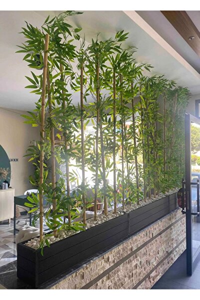 Ekodoğa Siyah Saksıda 170 Cm Bambu Seperatör Bambu Çubuk Ahşap Saksı Yapay Sarmaşık