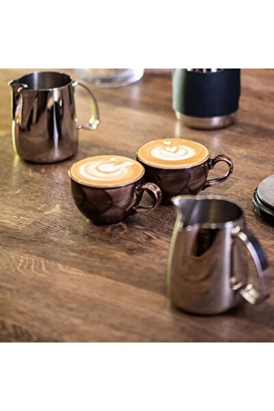 ILSA Stainless steel milk frother with 2 nozzles, Revolution Split, 300 ml