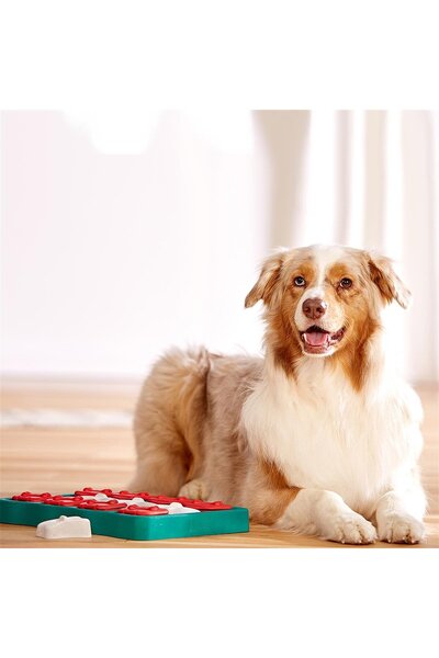 Generic Brand Outward Hound X Nina Ottosson Dog Smart Interactive Treat Puzzle Dog Toy
