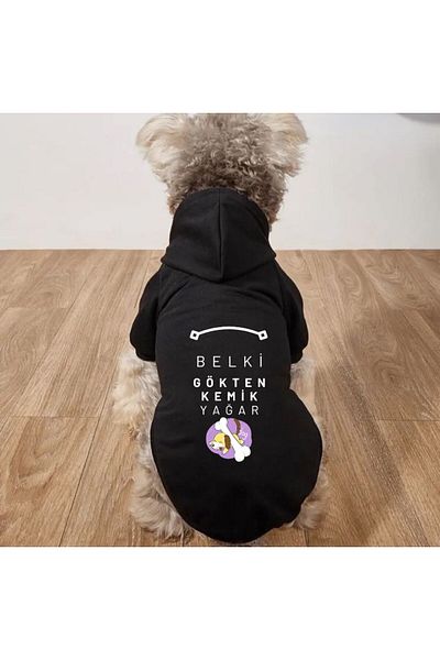 PetiliDünya Bone from the Sky Figure Dog Suit Cat Outfit with Sweat Hat