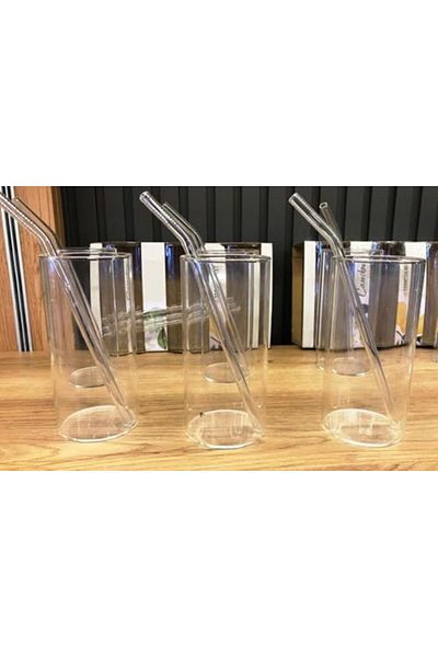 STOREMAX Ntwork Borosilicate Glass Hot - Cold Soft Drink Glass Set (3 Glasses with Straws Gift) Art 1087