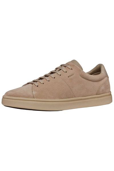 Geox Sneaker