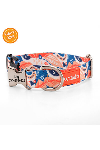 PATİMİO Spring Isimli Köpek Tasması Ve Gezdirme Seti, Köpek Künyesi, Köpek Isimlik, Isme Özel Tasma