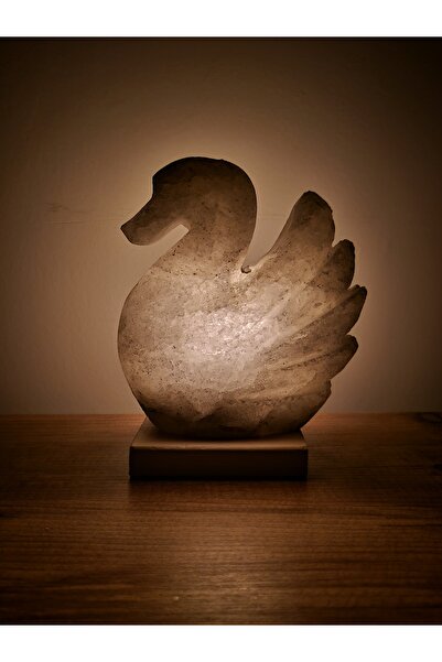 Y&D HOME Doğal Tuz Lambası, Çankırı Doğal Tuz Lambası, Ördek Motifli Tuz Lambası