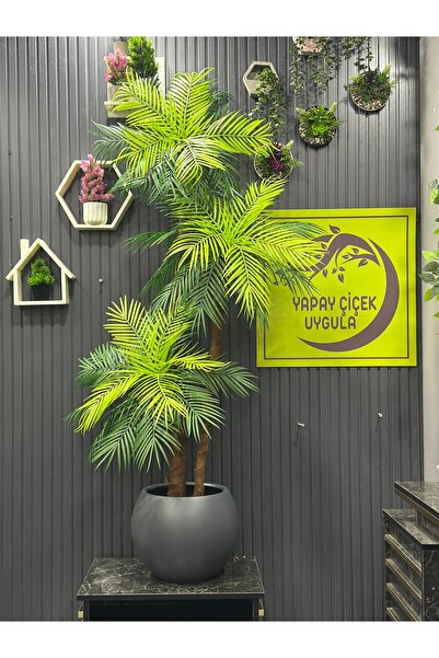 İremÇiçekçilik Yapay Çiçek Uygula Yapay Ağaç Salon Çiçeği 150 Cm Areka