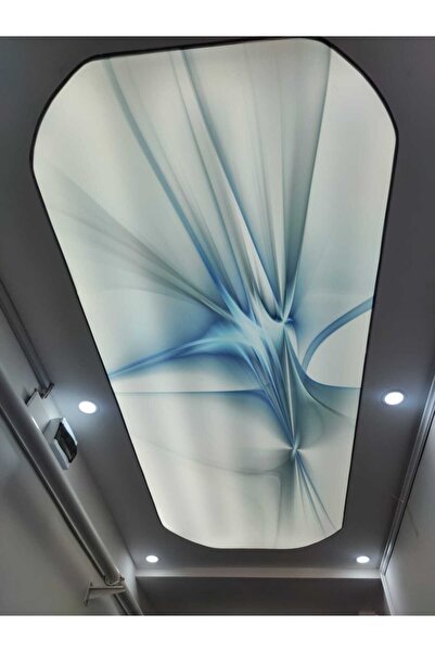 poster marketi Soyut Sanat Desenli Gergi Tavan | Işık Geçirgen ve Estetik Tas...