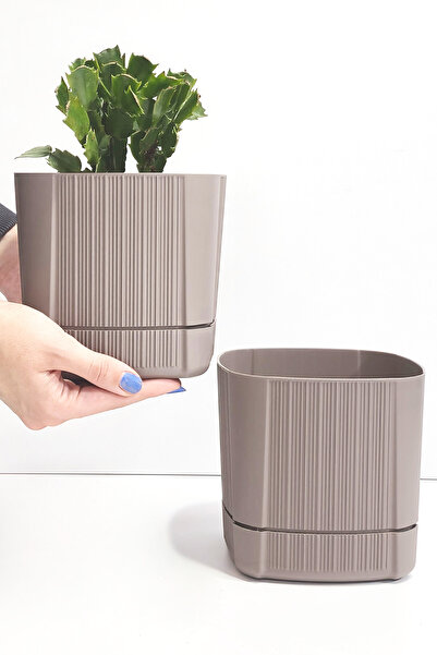 ATA HOME Karezar Seti – 2 Adet Kare Şekilli Küçük Saksı, Kapuçino Renk (1.3 L...