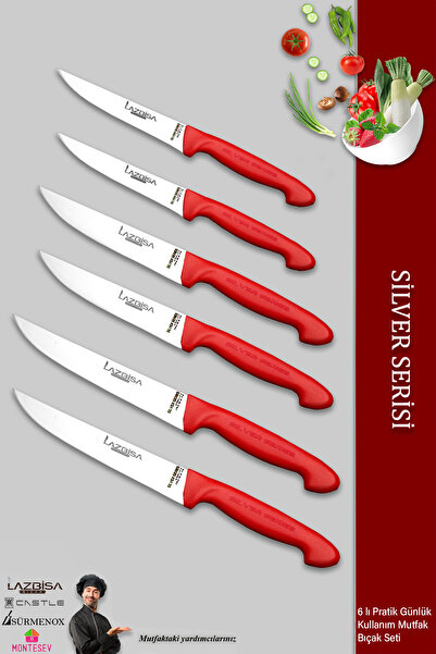 LAZBİSA Silver Serisi Mutfak Bıçak Seti Et Ekmek Sebze Meyve Bıçağı 6 Lı Set ...
