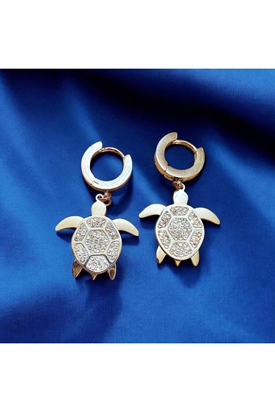 stainless steell Tortoise Detailed Stone Earrings