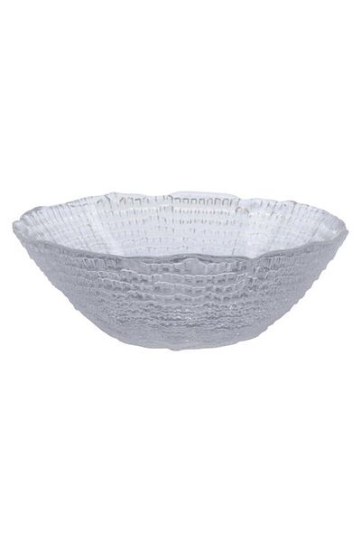 ALSAIF Glass Plate 5.4 X 14.5 Cm Deep Transparent